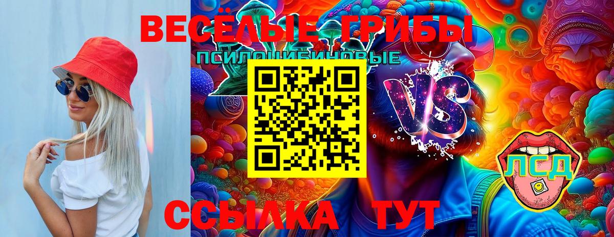 Волжск  Галлюциногенные грибы Psilocybe  Вход с VPN 